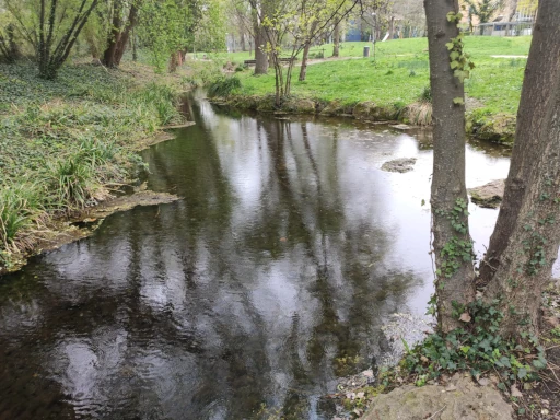 Mombachquelle - sprudelndes Mineralwasser