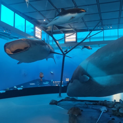 Löwentor-, und Rosensteinmuseum (außen und innen)