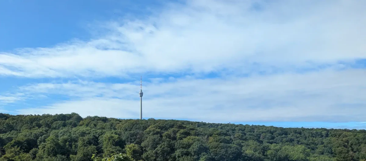 Blick auf den Fernsehturm im Wald über Stuttgarte